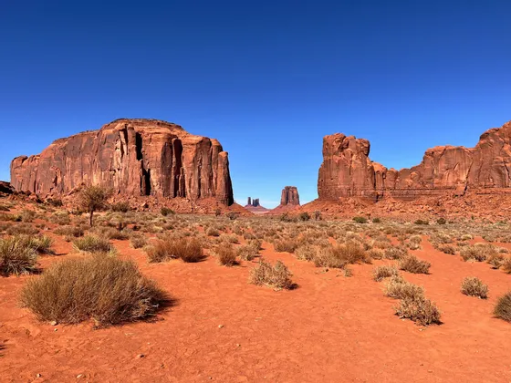 Promontori e tavolati di roccia rossa in un paesaggio desertico, con sabbia rossa e arbusti secchi, sotto un cielo azzurro e senza nuvole.