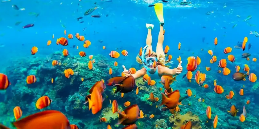 Une personne avec un masque de plongée fait un signe de pouce levé en nageant sous l'eau avec un banc de poissons oranges près d'un récif corallien.