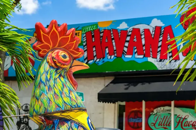 Una colorata statua di gallo dipinta si erge di fronte a un edificio con un murale 'Little Havana'.