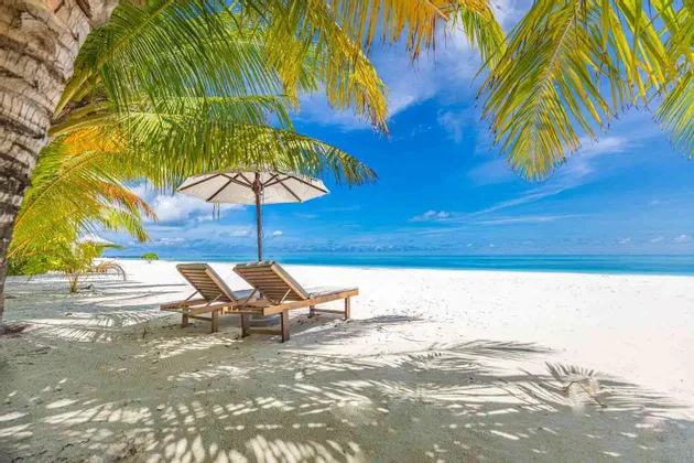 Due lettini vuoti e un ombrellone su una spiaggia di sabbia bianca sotto le palme, di fronte a un mare turchese e calmo.