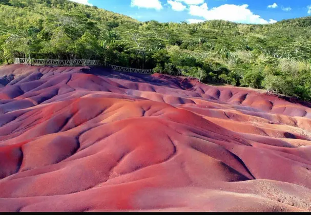 Un paisaje de dunas de arena ondulantes con vibrantes colores rojos, morados y marrones, bordeado por un bosque verde bajo un cielo azul.