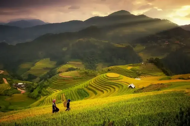 Two people walk through terraced rice paddies on rolling hills as sun rays beam down from a cloudy sky at sunset.