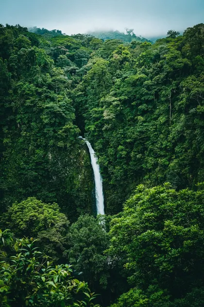 Una cascata imponente scende lungo una parete rocciosa, circondata da una vasta e fitta foresta pluviale verde sotto un cielo velato.