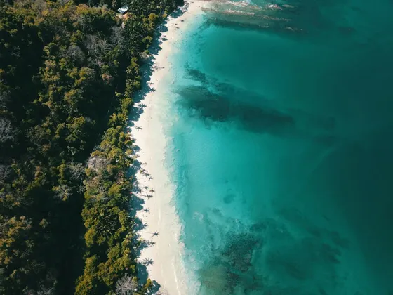 Una vista aerea di una spiaggia di sabbia bianca che separa una fitta foresta verde dall'acqua cristallina turchese dell'oceano.