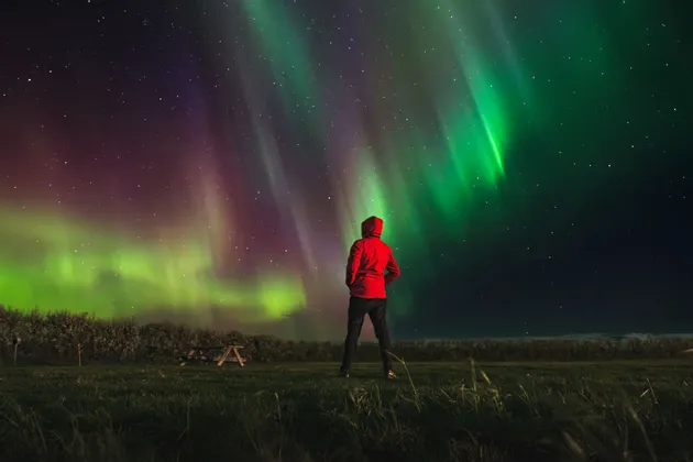 Una persona con una chaqueta roja con capucha está de pie en un campo de hierba por la noche, observando la aurora boreal verde y morada en el cielo estrellado.