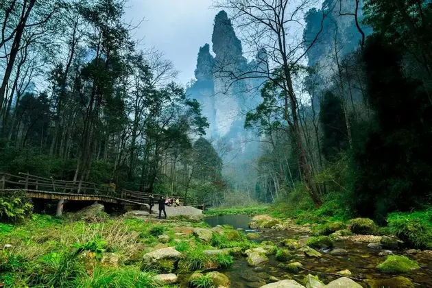 Un viaggio di gruppo WeRoad si trova accanto a un ruscello e un ponte di legno in una foresta, con imponenti formazioni rocciose avvolte nella nebbia sullo sfondo.
