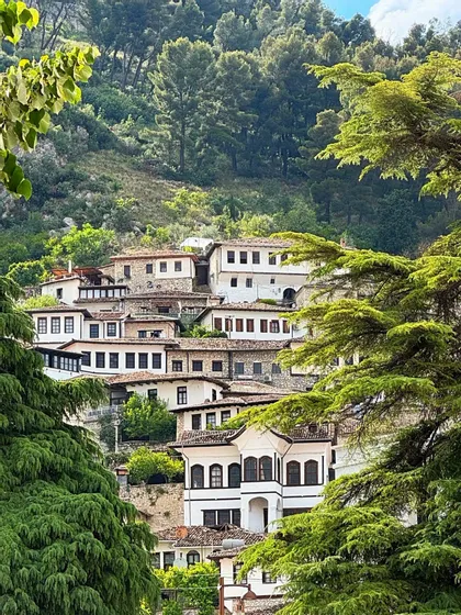 Casas blancas tradicionales con techos de tejas, construidas en una ladera verde cubierta de denso bosque, vistas a través de las hojas de los árboles.