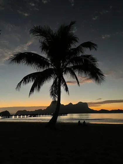 Una palma in silhouette su una spiaggia al tramonto, con un molo e montagne visibili attraverso l'acqua.