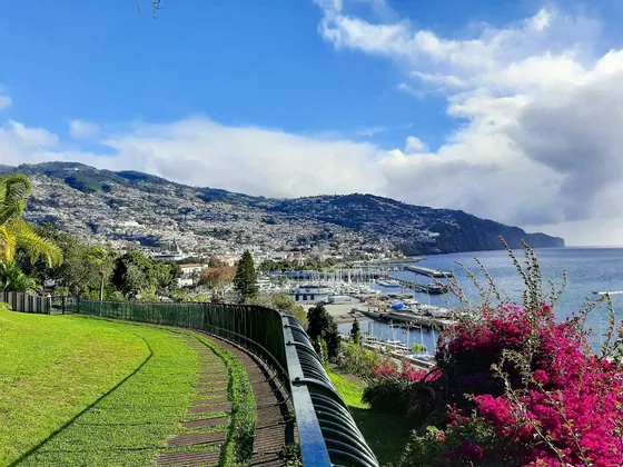 Una vista panoramica da un parco erboso di una città costiera e un porto annidati alla base di una grande montagna verde.