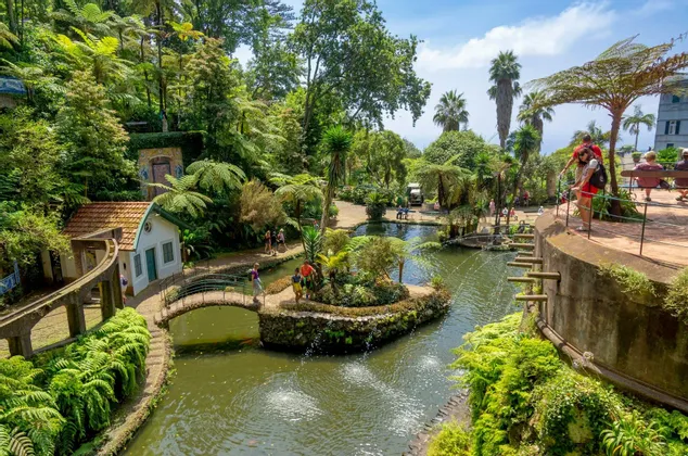 Una vista dall'alto di un lussureggiante giardino botanico con persone che camminano vicino a un laghetto con fontane, un piccolo ponte e dense piante tropicali.
