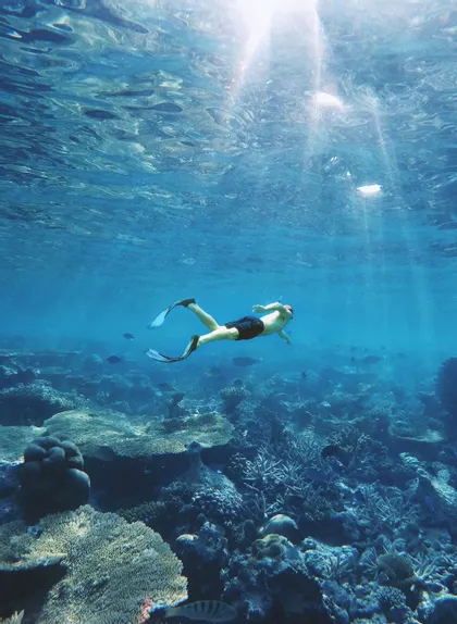 Una vista subacquea di una persona con pinne che nuota sopra una barriera corallina, con raggi di sole che filtrano dalla superficie dell'acqua.
