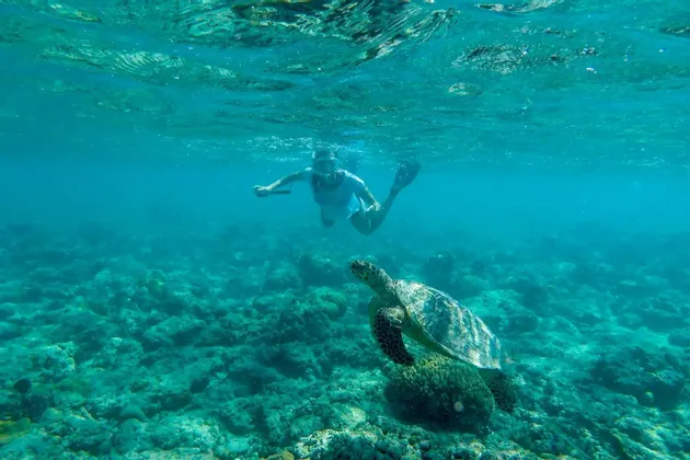 Vista subacquea di una persona che fa snorkeling vicino a una tartaruga marina che nuota su una barriera corallina.