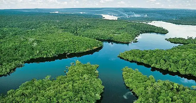 Vista aerea di un ampio fiume che si snoda attraverso una vasta e densa foresta pluviale verde, estendendosi fino all'orizzonte sotto un cielo nuvoloso.