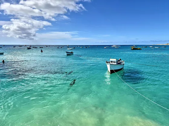 Decenas de pequeñas embarcaciones flotan sobre aguas tranquilas y turquesas, con las siluetas de grandes peces visibles bajo un cielo azul.