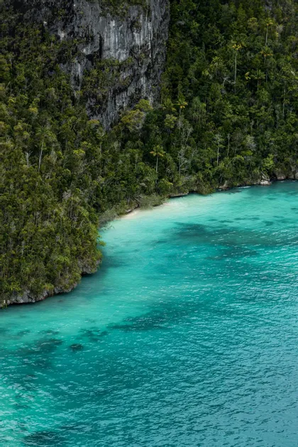 Una vista aerea di una costa rocciosa con una fitta giungla verde che incontra una distesa di acqua turchese cristallina.