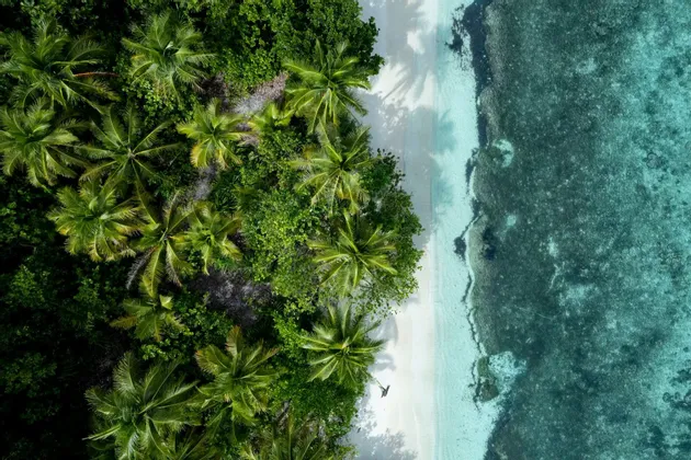 Una veduta aerea dall'alto di una persona che passeggia su una spiaggia di sabbia bianca, delimitata da palme rigogliose e acqua turchese.