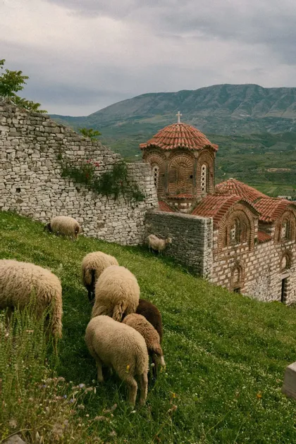 Un gregge di pecore pascola su un verde pendio accanto a una storica chiesa in pietra con tetto in tegole rosse, con le montagne sullo sfondo.
