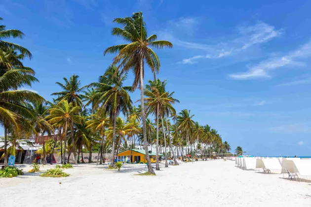 Alte palme fiancheggiano una spiaggia di sabbia bianca con un piccolo edificio giallo e sedie a sdraio sotto un cielo azzurro brillante.