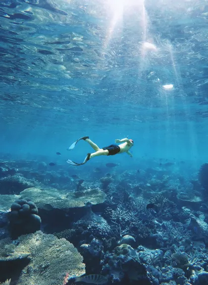 A person wearing fins snorkels in clear blue water above a large coral reef, with sunbeams filtering down from the surface.