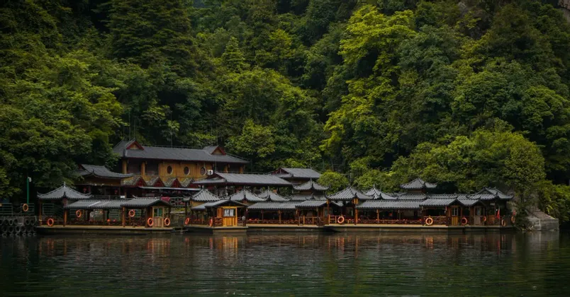 Barche turistiche con tetto a pagoda sono ormeggiate su un fiume tranquillo, davanti a una collina verde e lussureggiante, coperta di boschi.