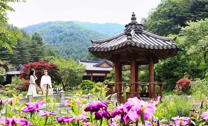 Due donne si trovano su un piccolo ponte di pietra in un giardino tradizionale asiatico con una pagoda di legno, fiori viola e montagne boscose.