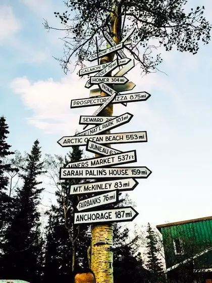 A birch tree trunk covered in directional signs pointing to various Alaskan locations like Anchorage, Fairbanks, and Mt. McKinley.