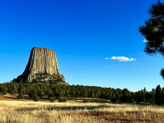Una grande formazione rocciosa colonnare si erge sopra una fitta foresta verde e un campo di erba secca sotto un cielo azzurro limpido.
