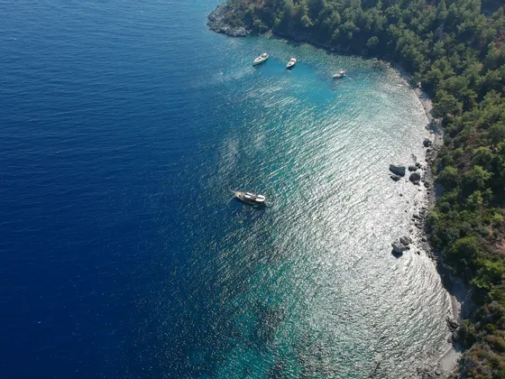 Una vista aerea di diverse barche ancorate in una baia turchese vicino a una costa rocciosa e alberata.