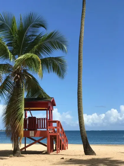 A red lifeguard tower stands on a sandy beach between two palm trees, with the ocean in the background under a blue sky.