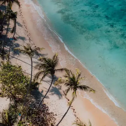 Una vista aerea di una spiaggia sabbiosa costeggiata da palme mentre l'acqua turchese bagna delicatamente la riva.