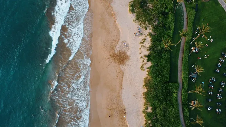 Vista aérea cenital de una costa, con olas turquesas del océano, una playa de arena y un césped verde con mesas preparadas para un evento.