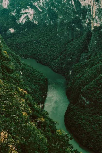 Vista aerea di un fiume verde che serpeggia in un profondo canyon con pendii scoscesi coperti da fitta foresta.