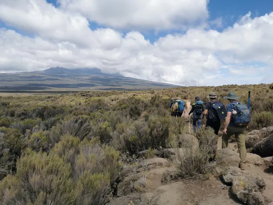 Un viaggio di gruppo WeRoad: trekking con zaini in spalla su un sentiero che attraversa una vasta macchia mediterranea, con una grande montagna sullo sfondo.