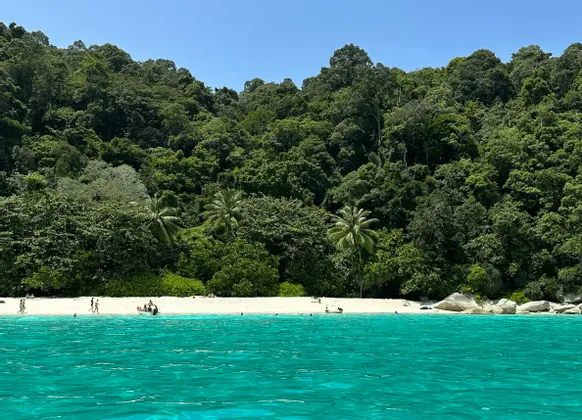 Una spiaggia di sabbia bianca con acque turchesi vibranti si trova alla base di una collina coperta da una lussureggiante giungla tropicale.