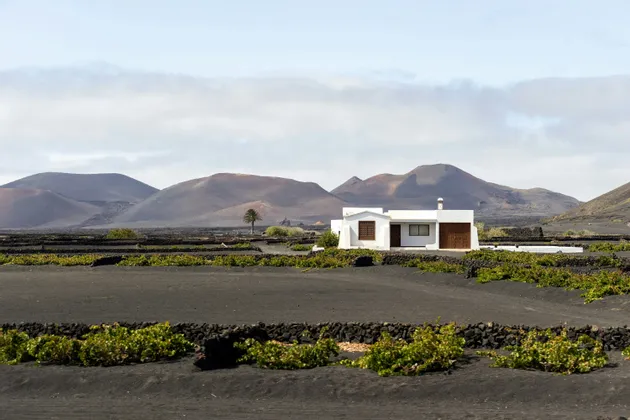 Una casa bianca sorge in un vigneto di viti verdi piantate in terreno vulcanico nero, con una catena di colline sullo sfondo.