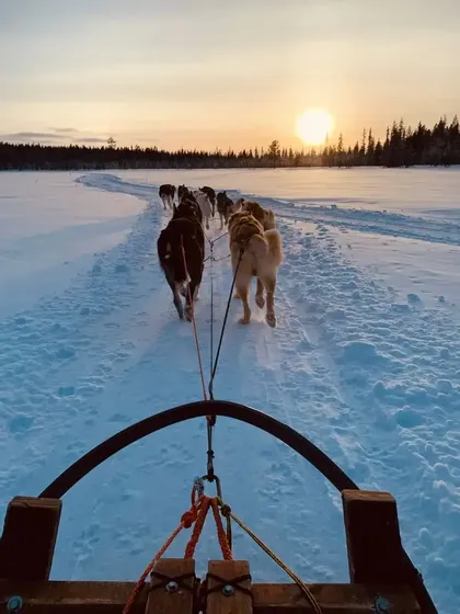 Vue à la première personne d'un traîneau tiré par des huskies, traversant un paysage enneigé au coucher du soleil.