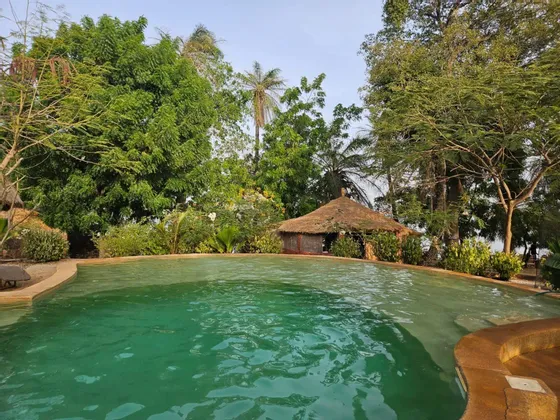 Una tranquila piscina de agua verde, rodeada de exuberantes árboles tropicales, palmeras y una pequeña cabaña con techo de paja.