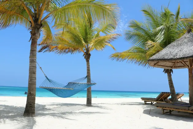 Un'amaca blu pende tra due palme su una spiaggia di sabbia bianca con acqua turchese e un cielo sereno sullo sfondo.