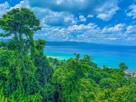 Vue plongeante sur des cimes d'arbres verts luxuriants vers un océan turquoise et des montagnes lointaines sous un ciel partiellement nuageux.