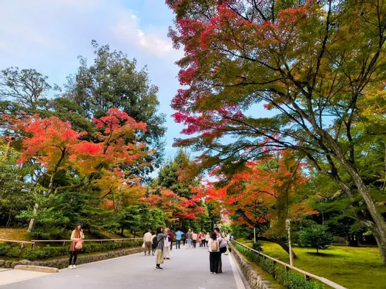 Una folla di persone cammina lungo un sentiero lastricato in un parco circondato da alberi con fogliame autunnale rosso e verde.