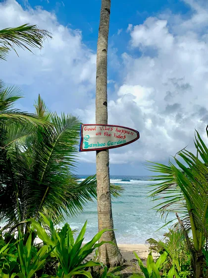 Un cartello di legno con la scritta 'Le buone vibrazioni arrivano con la marea', appeso a una palma su una spiaggia tropicale con vista sull'oceano.