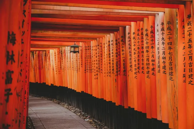 Un sentiero in pietra si snoda attraverso un tunnel di cancelli torii arancioni vivaci, inscritti con caratteri giapponesi neri.