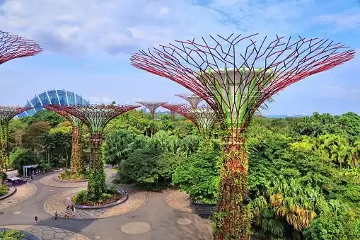 An elevated view of large, futuristic tree-like structures with red canopies towering over a lush green park with winding walkways.