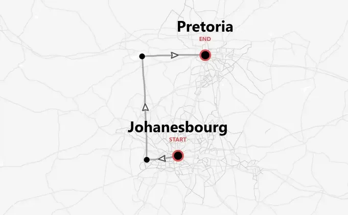 Immersion en Afrique du Sud : animaux sauvages, volontariat