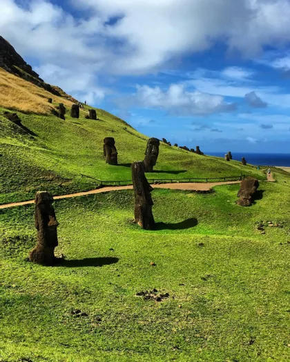 Diverse grandi statue Moai sono sparse su una vivace collina verde che digrada verso l'oceano sotto un cielo azzurro con nuvole bianche.