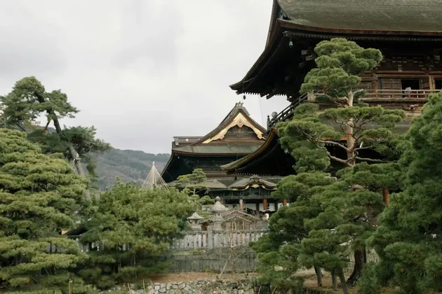 Un tradizionale tempio giapponese con legno scuro e tetti a pagoda è circondato da rigogliosi pini verdi sotto un cielo coperto.