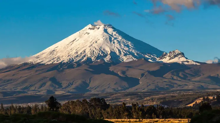 Un vulcano coperto di neve con un pennacchio di fumo che si alza dalla sua cima, stagliato contro un cielo blu sopra un paesaggio boscoso.