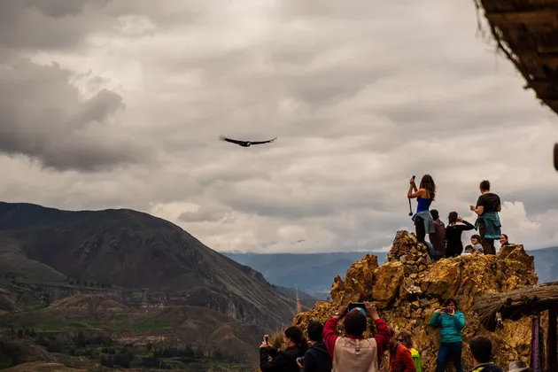 Un viaje en grupo de WeRoad en un mirador rocoso fotografía a un cóndor volando sobre un cañón de montaña bajo un cielo nublado.