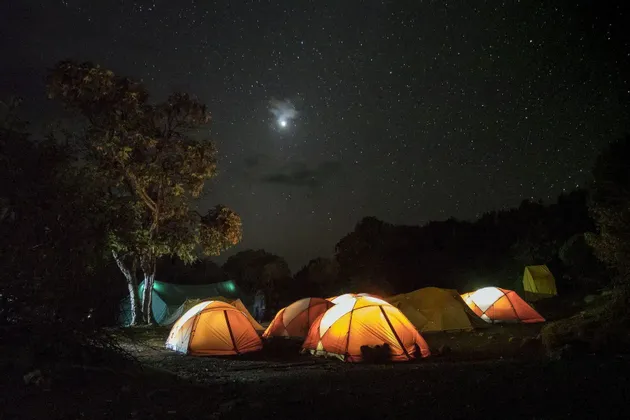 Mehrere beleuchtete Zelte stehen nachts auf einem Campingplatz auf einer Lichtung unter einem dunklen Sternenhimmel.