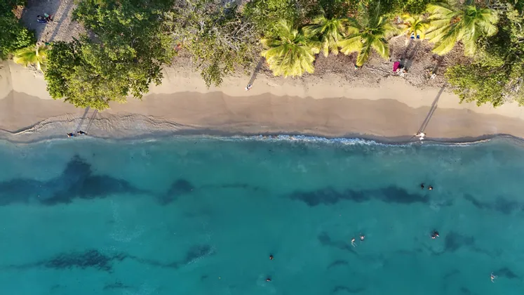 Vue aérienne d'un voyage de groupe WeRoad sur une plage de sable fin, avec des personnes nageant dans la mer turquoise.